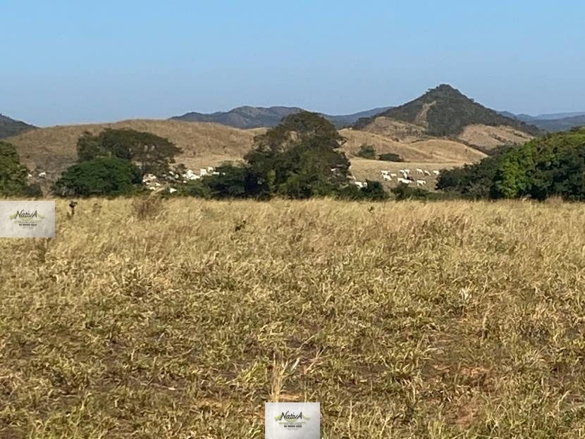 Fazenda - 842 ha