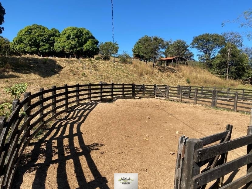 Fazenda - 842 ha