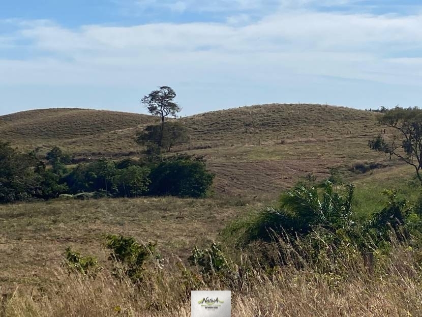 Fazenda - 842 ha