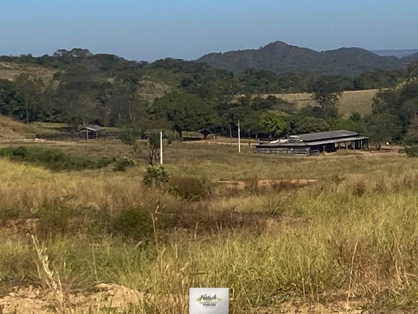 Fazenda - 842 ha