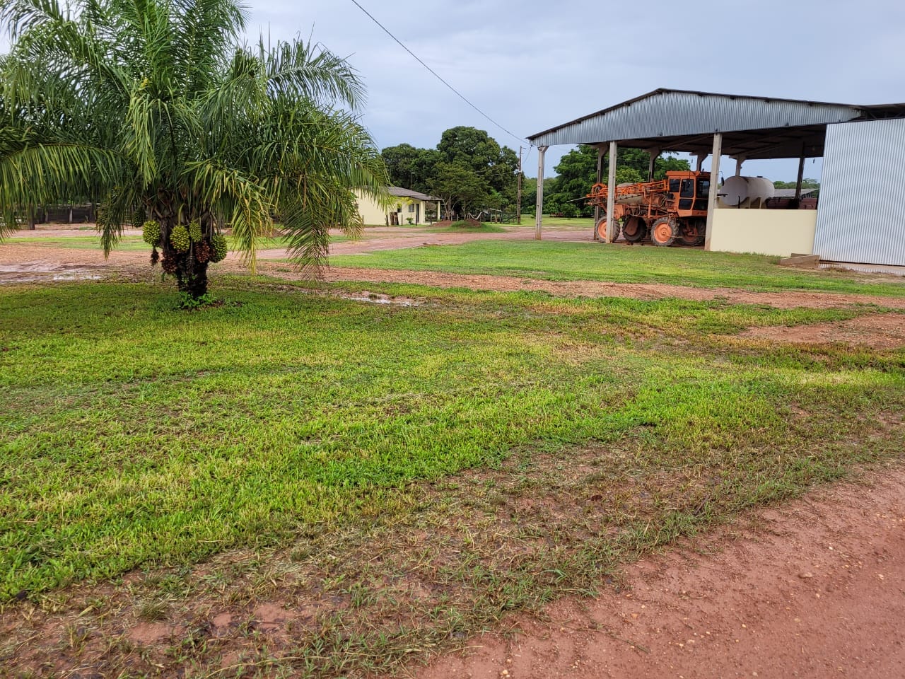 Fazenda - 550 ha