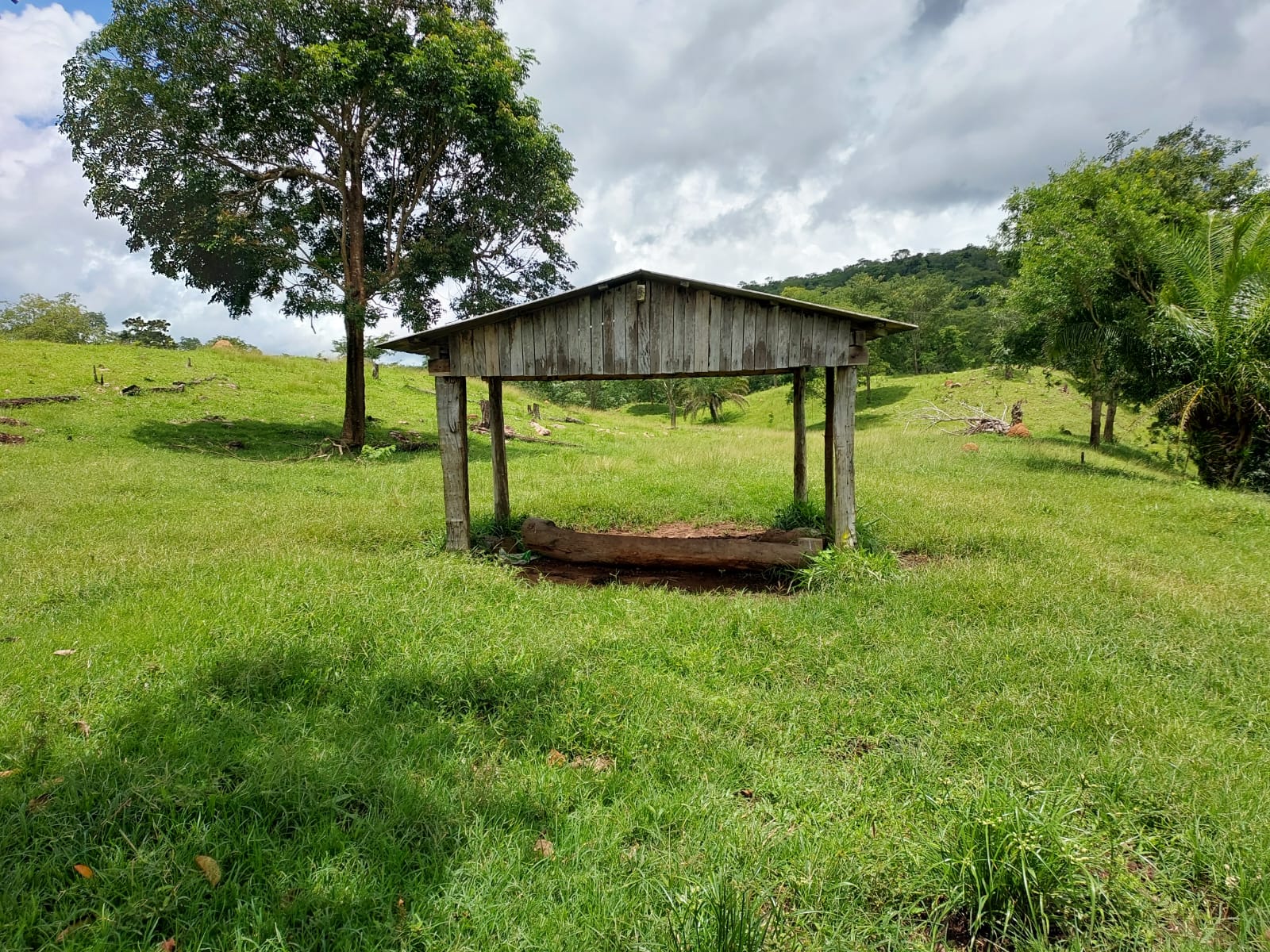 Fazenda - 659 ha - PECUARIA