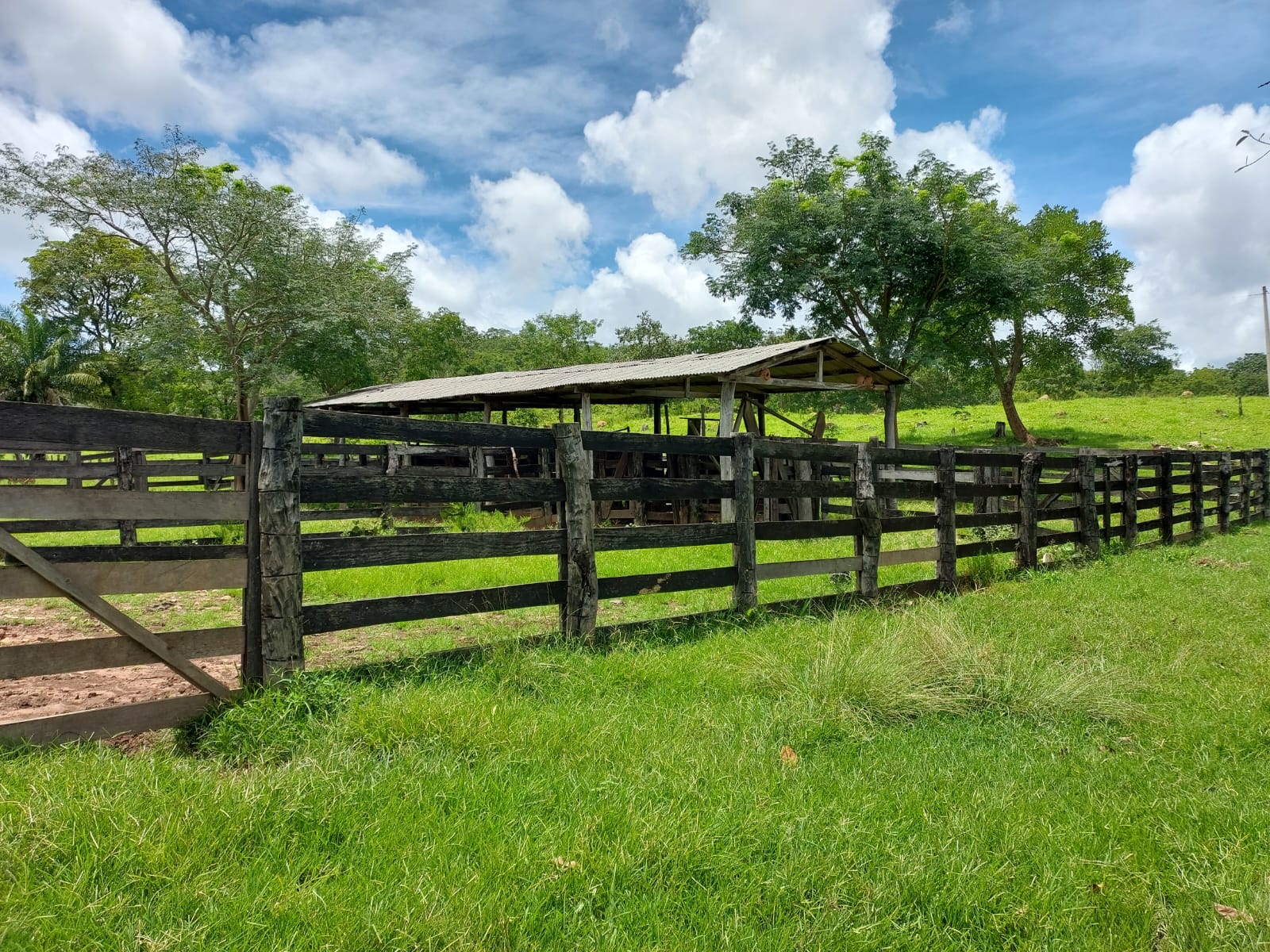 Fazenda - 659 ha - PECUARIA