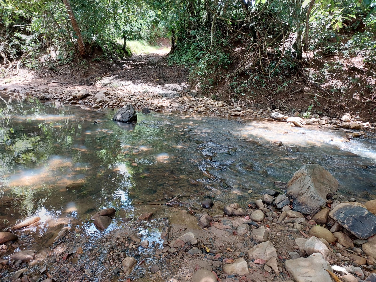Fazenda - 659 ha - PECUARIA
